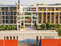 深圳科學(xué)高中防雷整改工程